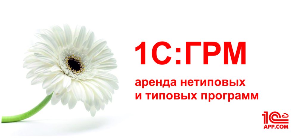 1С:ГРМ Тариф Бизнес